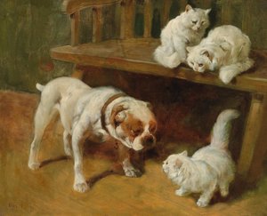 Honden en katten