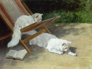 Twee witte Perzische katten met een lieveheersbeestje bij een ligstoel