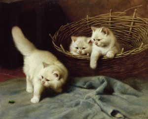 Witte Angora Kittens met een Kever, 1929