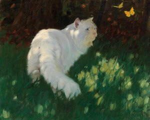 Witte kat en vlinders