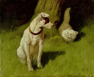 Witte Perzische kat en Jack Russell