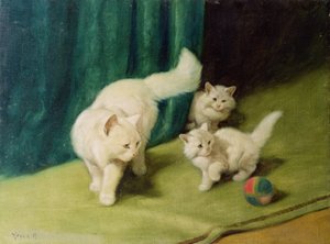 Witte Perzische Kat met Twee Kittens