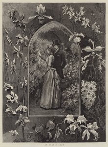Een Orchideeëntentoonstelling