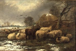 Schuilplaats door Arthur J. Stark