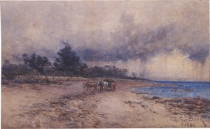 Verzamelen van zeewier voor de storm, Sandringham strand