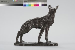 Alerte Coyote