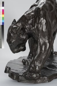 Grote Puma die een Os Spoor Ruikt door Arthur Putnam