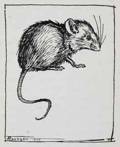 Een muis door Arthur Rackham