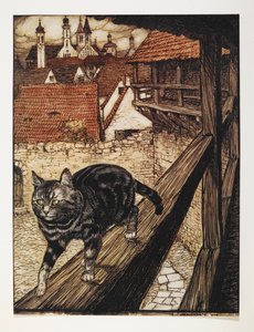 Een cyperse kat loopt langs de houten reling van een gebouw