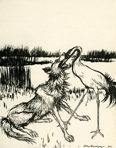 Aesopus
