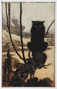 Illustratie van een zwarte kat uit Jorinde en Joringel door Arthur Rackham