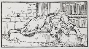Illustratie van een hond uit Oude Sultan door Arthur Rackham