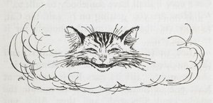 De Cheshire Cat door Arthur Rackham