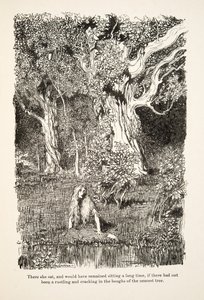 Daar zat ze, en zou daar lang zijn blijven zitten, als er niet een geritsel en gekraak in de takken van de dichtstbijzijnde boom was geweest, uit Kleine Broer & Kleine Zus en Andere Verhalen van de Gebroeders Grimm, uitgegeven 1917