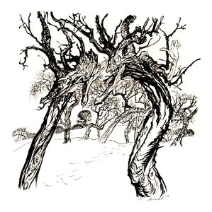 Fluisterende bomen, uit A Dish of Apples door Arthur Rackham