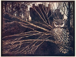 Of een schreeuwuil, uit De Sprookjes van de Gebroeders Grimm, pub. 1909