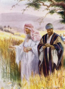 Jezus en zijn discipelen in het korenveld