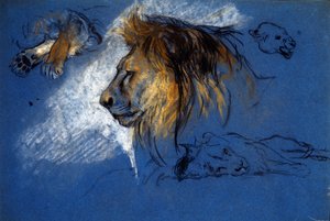 Studie van een Leeuw, ca. 1905 (pastel op blauw papier)