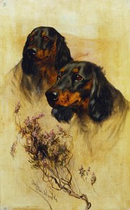 Twee Gordon Setters door Arthur Wardle
