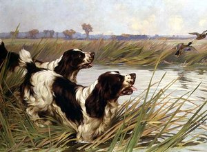 Twee Springers die Wilde Eenden Achtervolgen door Arthur Wardle