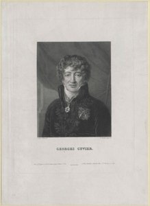 Georg Cuvier (druk) door Artist Unknown