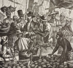 Geschiedenis van Engeland (19e eeuw). Kolonisatie (1880). Bahama verkoopt ananassen. Engelse kolonie op New Providence Island. Ananassen waren een van de belangrijkste exportproducten uit de haven van Nassau. Gravure. Privécollectie door Artist Unknown