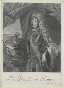 Prins van Frankrijk Ludwig