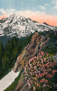 De sleutelbloem op Mount Rainier, ca. 1916 door Asahel Curtis