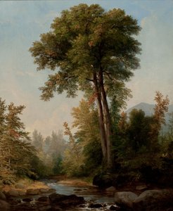 Een natuurlijke monarch door Asher Brown Durand