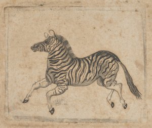 Bankbiljet vignette met een zebra, ca. 1824-37 door Asher Brown Durand.