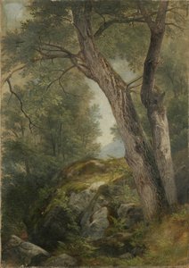 Butternut Boom in Den Haag, Lake George, NY, 1862