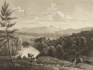 Catskill Bergen