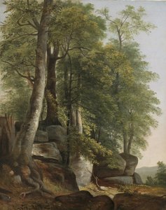 Landschap met rotsen en bomen door Asher Brown Durand