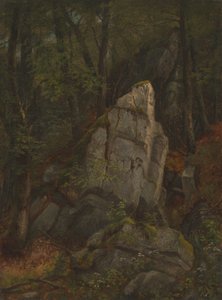 Studie van rotsen in Pearson