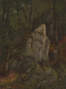 Studie van rotsen in Pearson