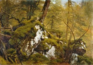 Studie van een bosinterieur