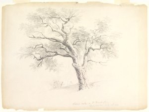 De kastanje-eik op het Hosack-landgoed, Hyde Park, New York met vijf figuren en een kunstenaar die schetst, 1838
