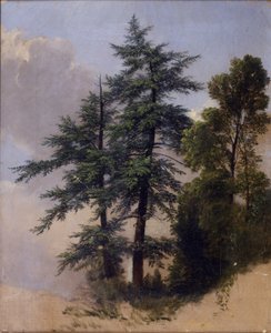 Boomstudie, Newburgh, N.Y., 1849