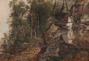 Bomen op een rotsachtige heuvel