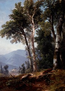 Boslandschap, ca. 1850 (olieverf op doek) door Asher Brown Durand
