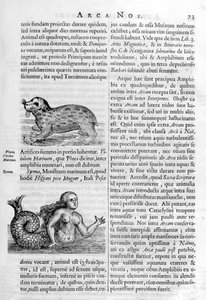 Mythische Wezens door Athanasius Kircher