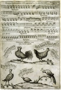 Het lied van bepaalde vogels uitgedrukt in muzieknoten naar: 