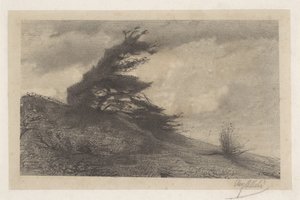 Landschap bij stormachtig weer