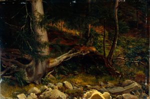 Studie van bosbodem (schilderij)