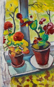 Bloemen bij het raam - Begonia