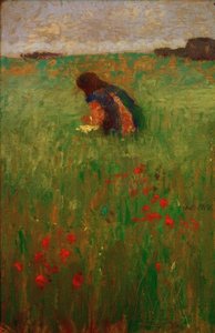 Kind in het gras