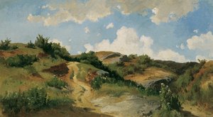 Hongaars Landschap