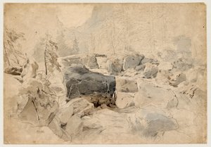 Bergbeek