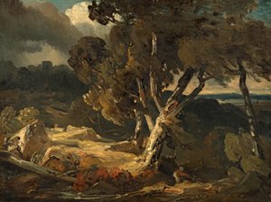 Stormlandschap
