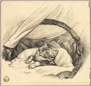 Slapende kat in mand